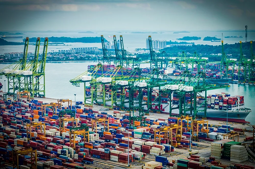 Kilakarai-based Gen2K leading innovation in software solutions